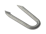 ForgeFix Netting Staple Galvanised 15mm Bag Weight 500g